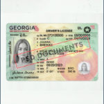 Georgia Driver's License New