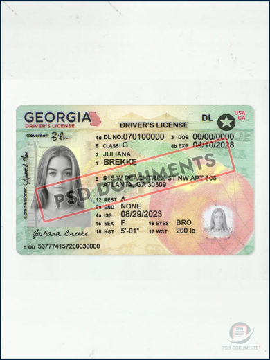 Georgia Driver's License New