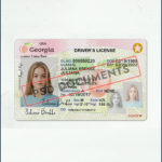 Georgia Driver's License