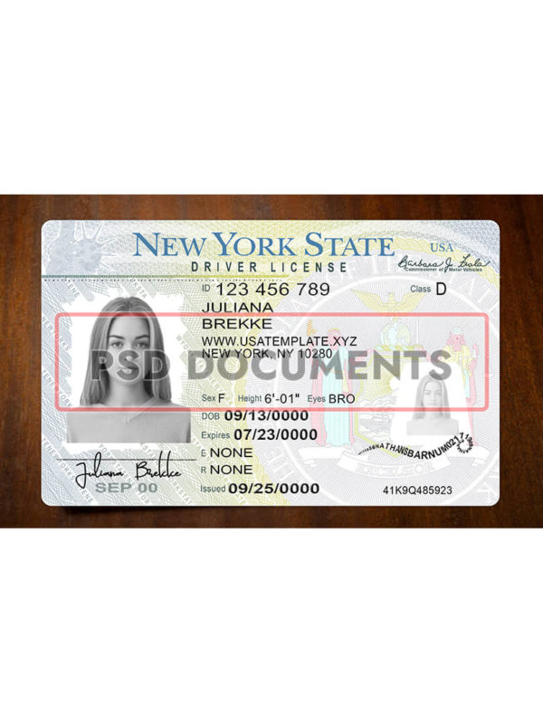 New York State Driving license PSD Template | PSD Documents