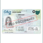 Ohio Driver License