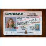 Washington Driver License