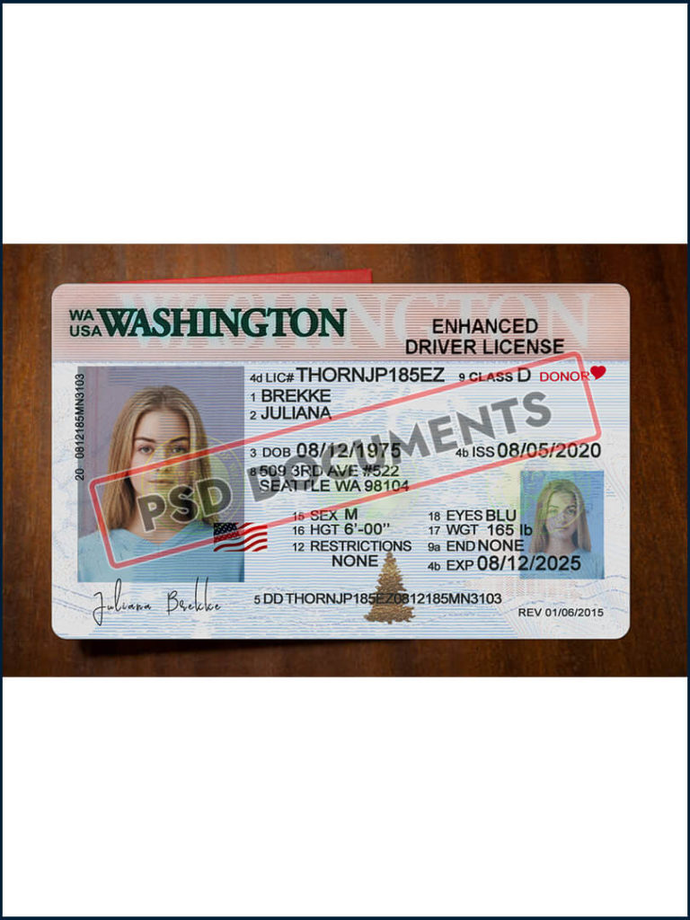 Washington Driver License Template PSD | PSD Documents