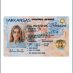 Arkansas Drivers License