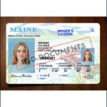 Maine Driver License