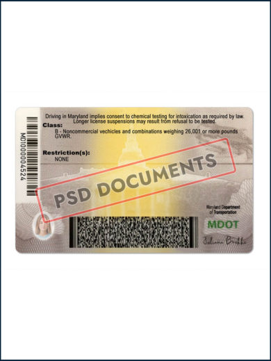 Maryland Driver License PSD B