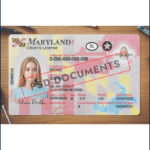 Maryland Driver License