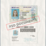 Montana Driving License PSD Template Psd Documents