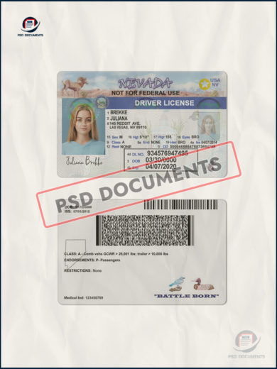 Nevada Driver License PSD Template – Psd Documents