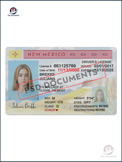 New Mexico Driver License PSD Template Psd Documents 1