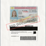 New Mexico Driver License