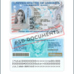 USA Passport Card Psd Documents