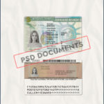 USA Permanent Resident Card