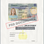 Vermont Driver License Template New Psd Documents