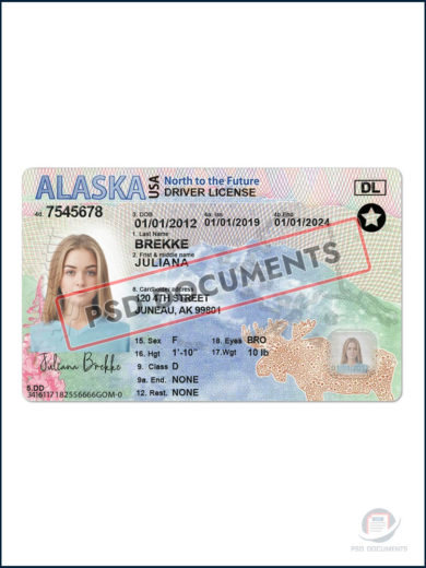 Alaska Driver License Template New PsdDocuments21