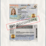 Indiana Driver License