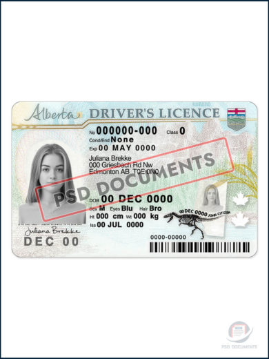 PsdDocuments – Alberta Drivers License PSD Template1