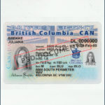 British Columbia Driver License