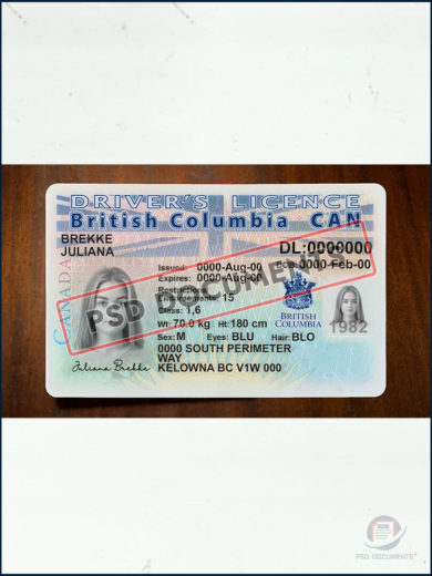 PsdDocuments British Columbia Can Driver License PSD Template3