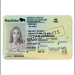 Manitoba Driving License