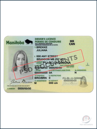 PsdDocuments – Canada Manitoba Province Driving License PSD Template1