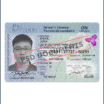 Ontario Driver License