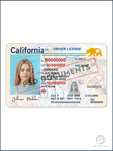 California Driving License Template V1 2