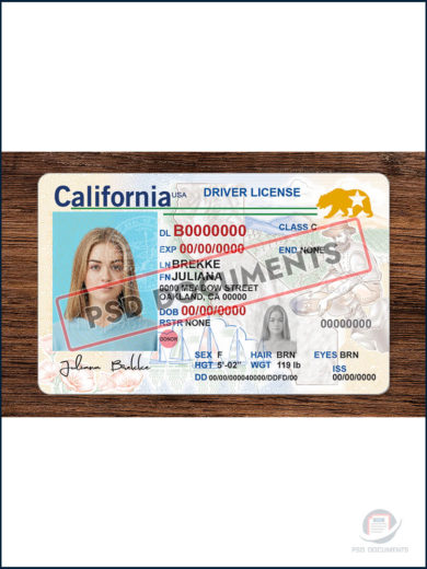 California Driving License Template V1 3