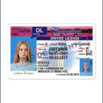 Connecticut Driver License