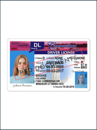 Connecticut drivers license Template front