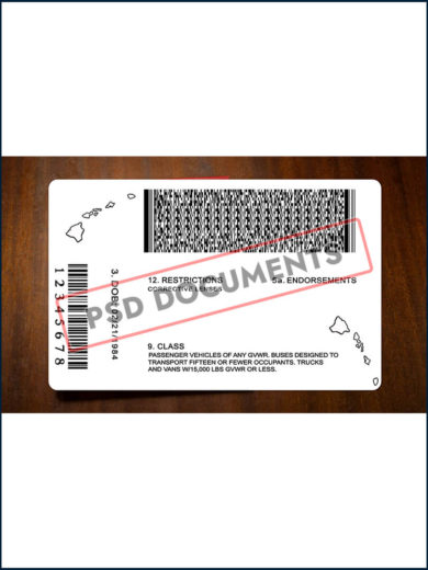 Hawaii Driver License Template - Image 2