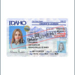 Idaho Driver License