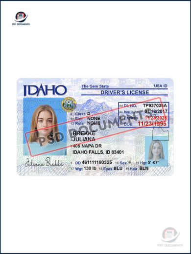 Idaho Driver License PSD Template New – Psd Documents 5