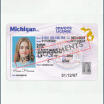 Michigan Driver License Template