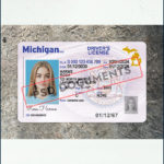 PsdDocuments Michigan Driver License Template New 6