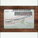 PsdDocuments Nebraska Driver License Template New V2 5