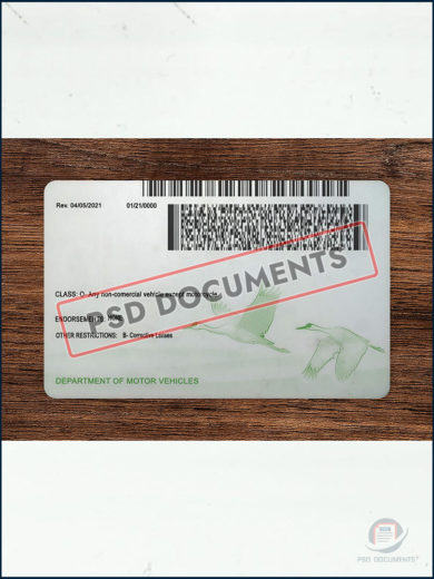 PsdDocuments Nebraska Driver License Template New V2 5