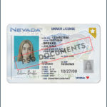 Nevada Driver License