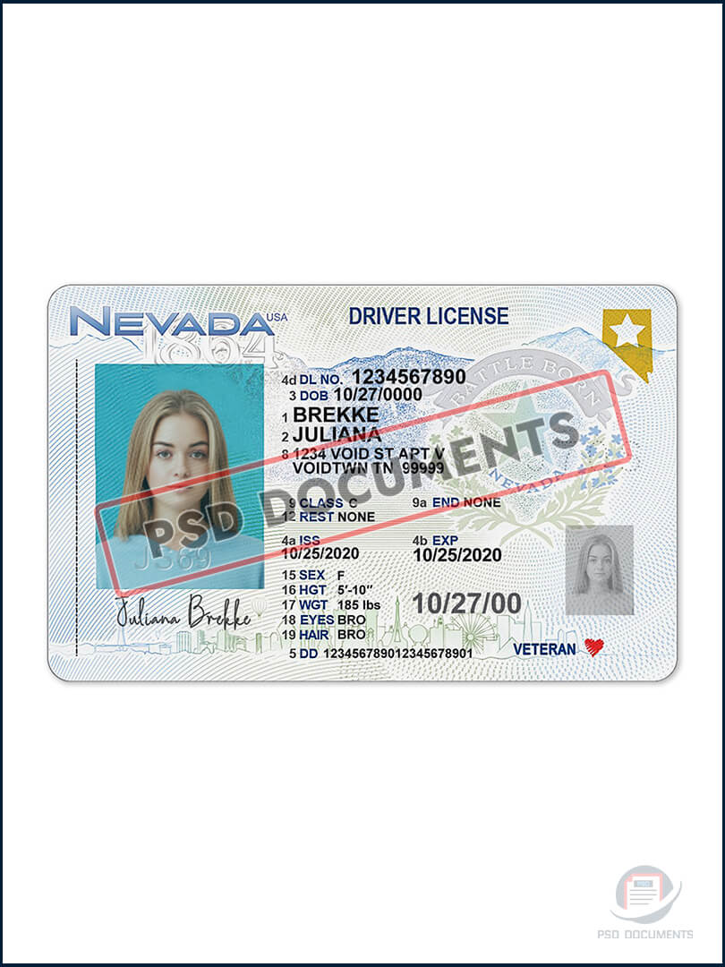 Nevada Driver License