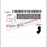 PsdDocuments New Jersey DL 1