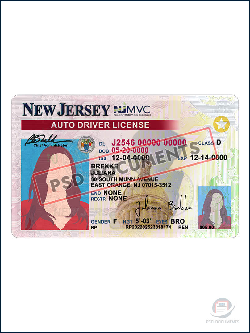 New Jersey Drivers License