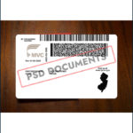 PsdDocuments New Jersey DL 3