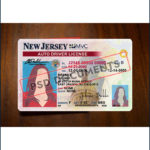 PsdDocuments New Jersey DL 5