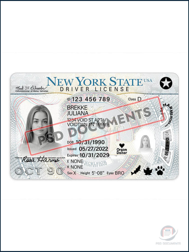 New York Driving license PSD (V2) | PSD Documents