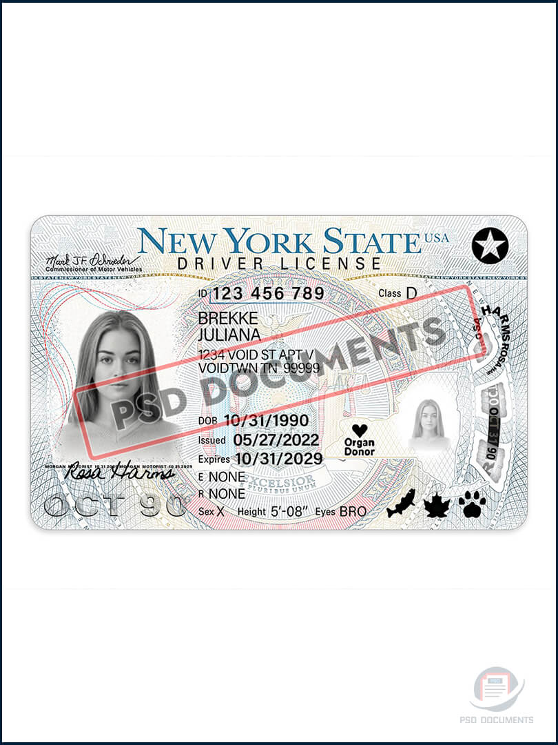 New York Driving license