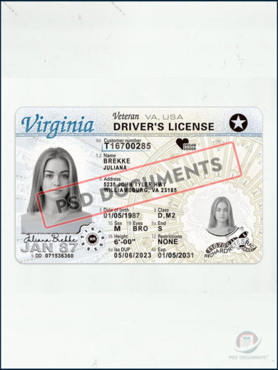 PsdDocuments – Virginia Driver License PSD Template 1