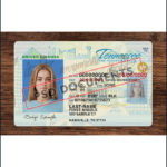 PsdDocuments Tennessee Driver License PSD Template