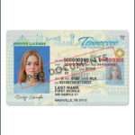 Tennessee Driver License