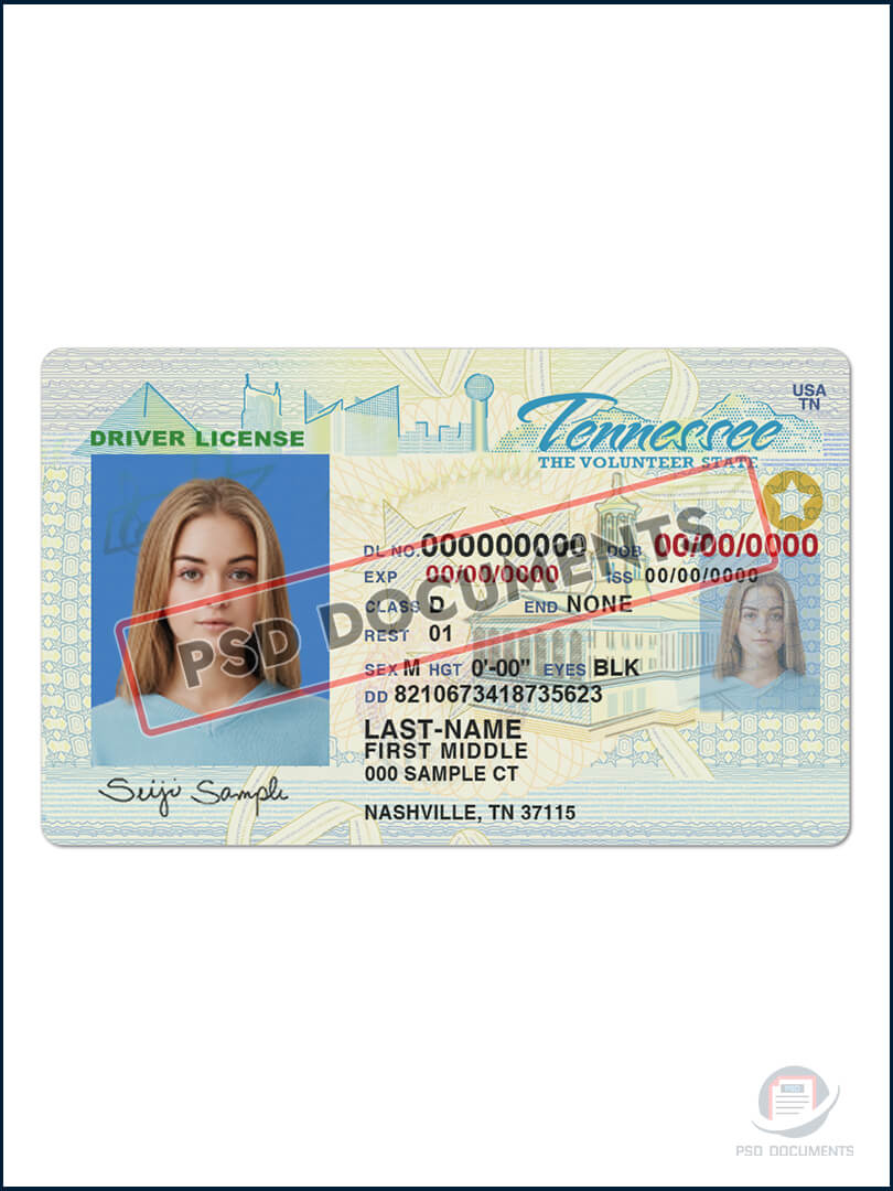 Tennessee Driver License