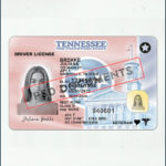 Tennessee Driver License